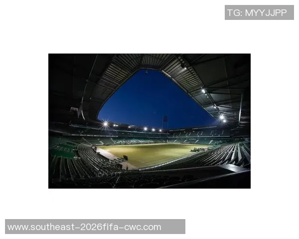 足球大师2中的里瓦尔多：重温传奇球星的辉煌岁月与精彩瞬间